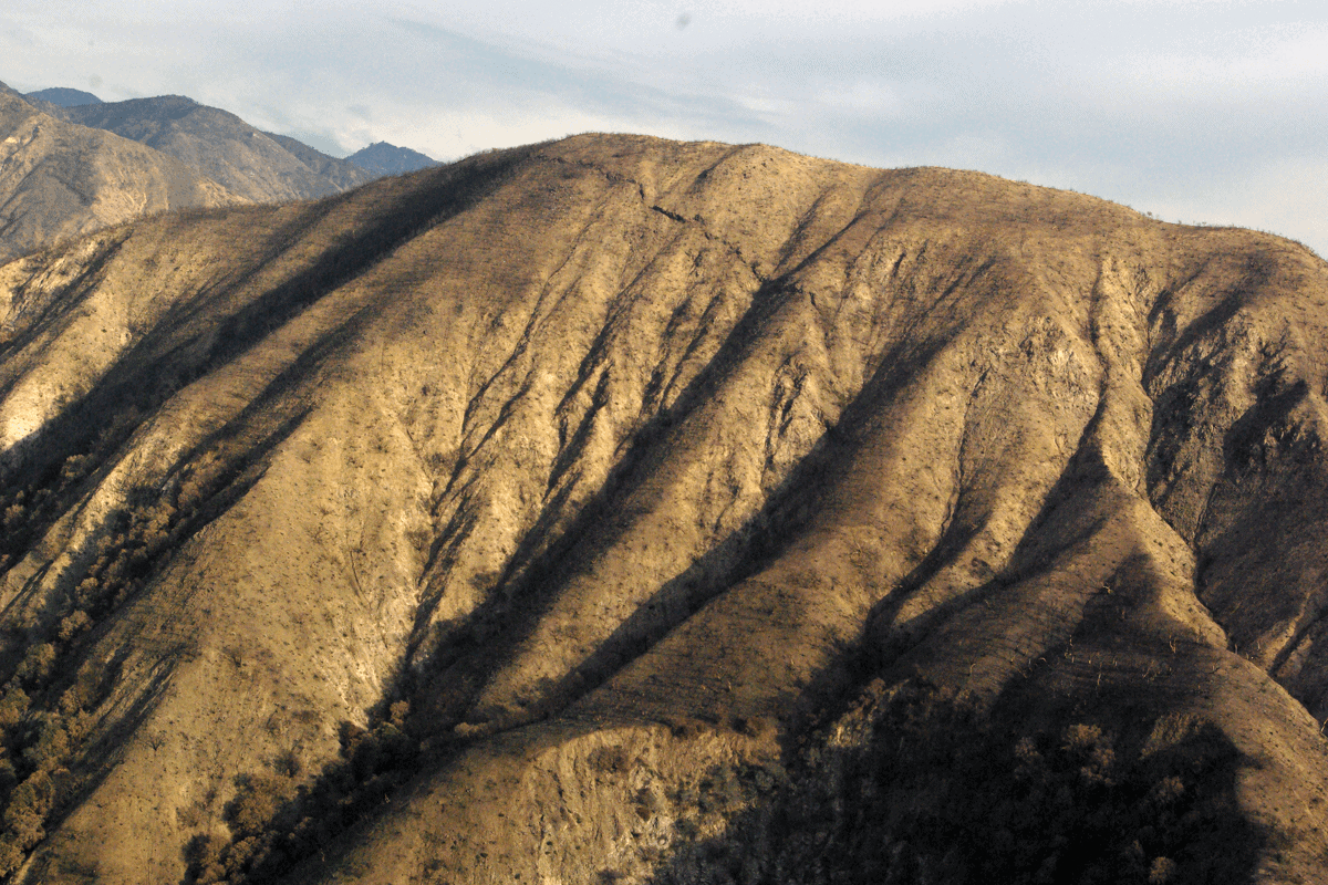 angeles national forest, station fire, 2009- archived photo selection andy cline artist